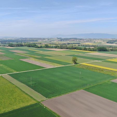 Les Moucherons Avenches Kültér fotó