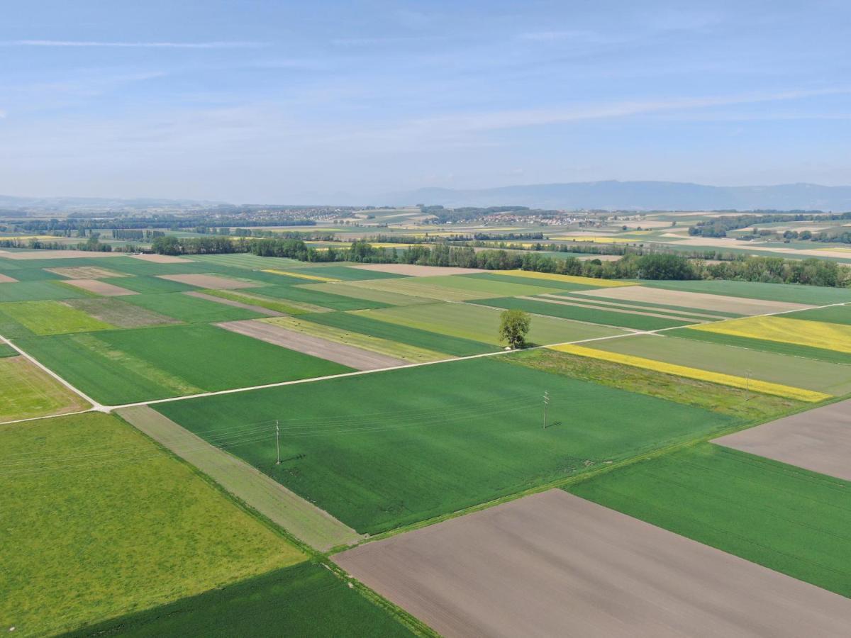 Les Moucherons Avenches Kültér fotó